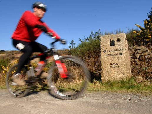 Elm farm cycles cheap