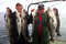 1003_fishingcornwall3.jpg