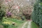 167_caerhayes_gardens.jpg