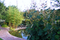 188_roseland3.jpg