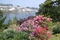 237_headlandgarden4.jpg