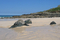 83_porthmeor2.jpg