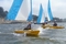 975_camel_sailing1.jpg